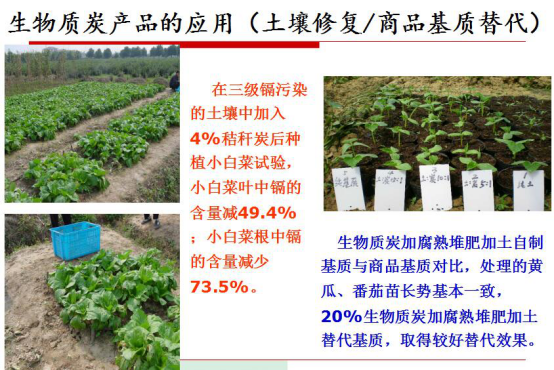 仟億達生物質氣化發(fā)電帶來的社會效益